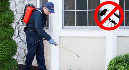 Kozluk Pire İlaçlama böcek ilaçlama ve haşere kontrolü — ilaclama-tr.com